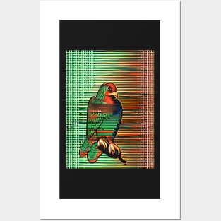 Woven Bird Of Prey Posters and Art